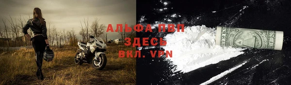 ГАЛЛЮЦИНОГЕННЫЕ ГРИБЫ Ельня