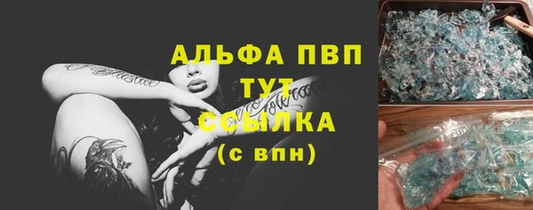ГАЛЛЮЦИНОГЕННЫЕ ГРИБЫ Ельня