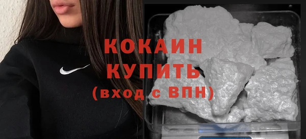 ГАЛЛЮЦИНОГЕННЫЕ ГРИБЫ Ельня