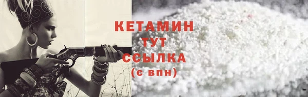 ГАЛЛЮЦИНОГЕННЫЕ ГРИБЫ Ельня