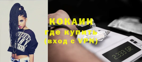 ГАЛЛЮЦИНОГЕННЫЕ ГРИБЫ Ельня