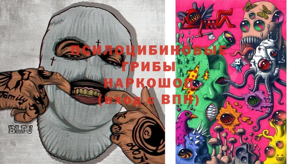 дмт Елабуга