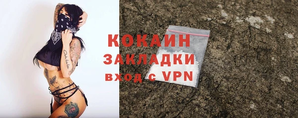 ГАЛЛЮЦИНОГЕННЫЕ ГРИБЫ Ельня