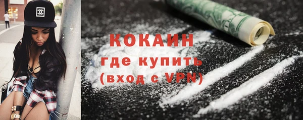 ГАЛЛЮЦИНОГЕННЫЕ ГРИБЫ Ельня