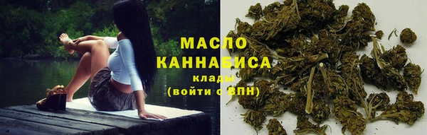 дмт Елабуга