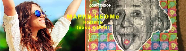 ГАЛЛЮЦИНОГЕННЫЕ ГРИБЫ Ельня