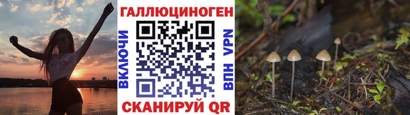 Галлюциногенные грибы Psilocybe  Купить  Минусинск 