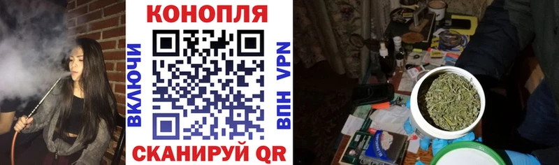 Купить  Минусинск  Бошки марихуана планчик 